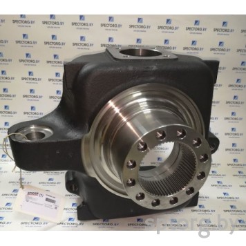 F930301020200 Поворотный кулак Fendt-0