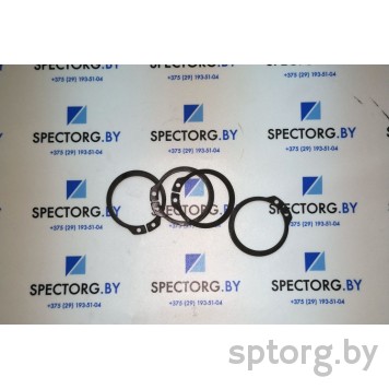 024789 Кольцо стопорное Carraro-0