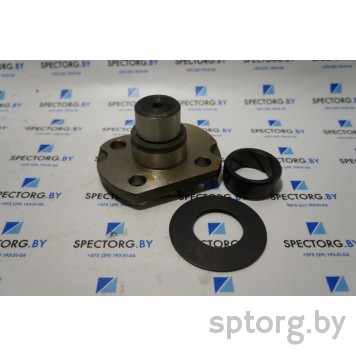 068806 Комплект шкворня Carraro 068806 Комплект шкворня Carraro-0