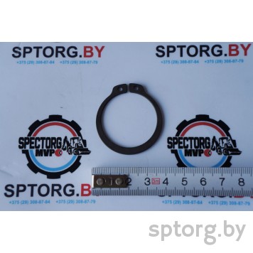 024790 Стопорное кольцо Carraro-0