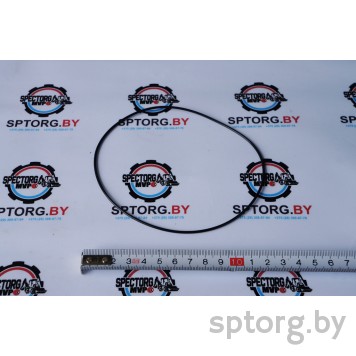 028103 Уплотнительное кольцо Carraro 028103 Уплотнительное кольцо Carraro-0