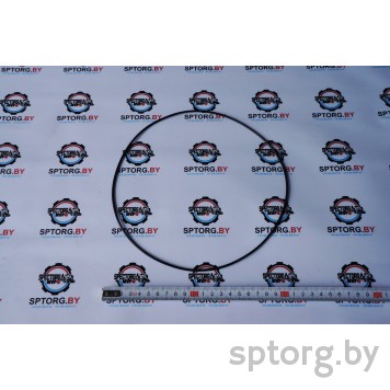 Уплотнительное кольцо Carraro, 028668-0