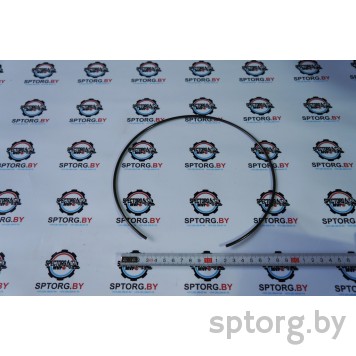 125344 Стопорное кольцо Carraro 125344 Стопорное кольцо Carraro-0