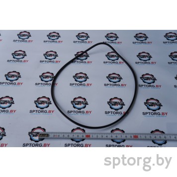 139250 Уплотнительное кольцо Carraro 139250 Уплотнительное кольцо Carraro-0