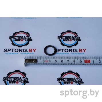 141935 Уплотнительное кольцо Carraro 141935 Уплотнительное кольцо Carraro-0