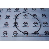Уплотнительное кольцо Carraro