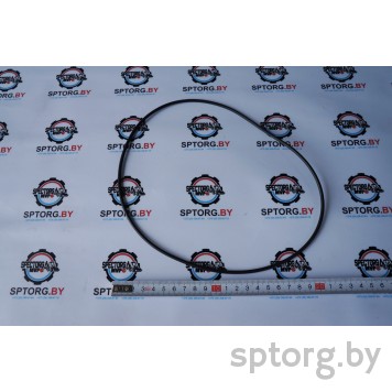 141937 Уплотнительное кольцо Carraro 141937 Уплотнительное кольцо Carraro-0