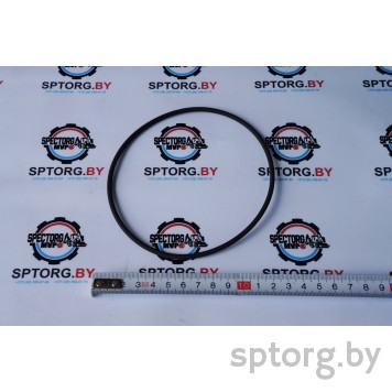 141938 Уплотнительное кольцо Carraro 141938 Уплотнительное кольцо Carraro-0