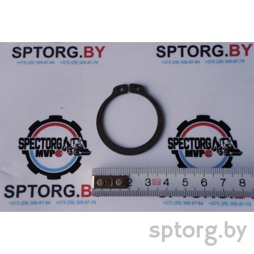 83930295 Стопорное кольцо CASE-0