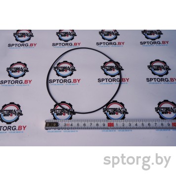 9968008 Уплотнительное кольцо CASE-0