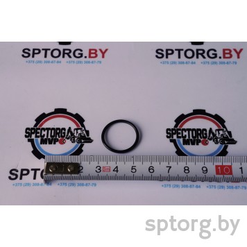 Z2230493 Уплотнительное кольцо CASE-0