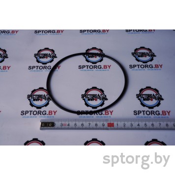 83930343 Уплотнительное кольцо CASE-0