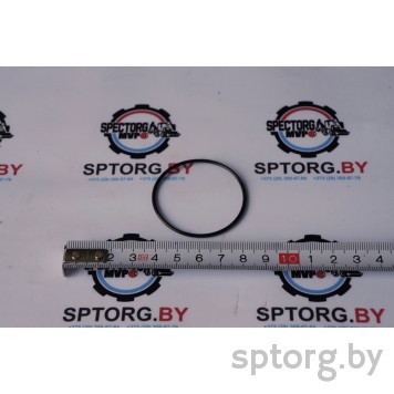 305152A1 Уплотнительное кольцо CASE-0