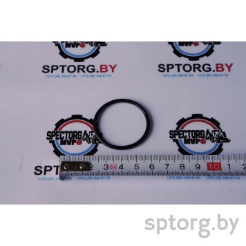 1966918C1 Уплотнительное кольцо CASE-0