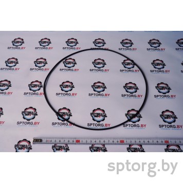 P029304670Q Уплотнительное кольцо CASE-0