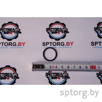 81875430 Уплотнительное кольцо CASE-0