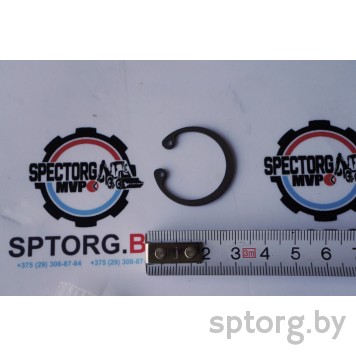 9968060 Стопорное кольцо CASE-0