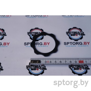 247554A1 Упорная шайба CASE-0