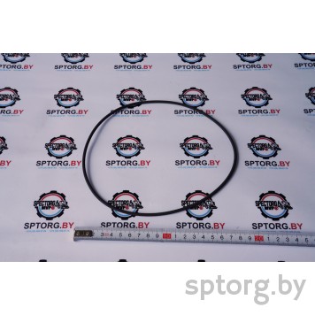 308036A1 Уплотнительное кольцо CASE-0