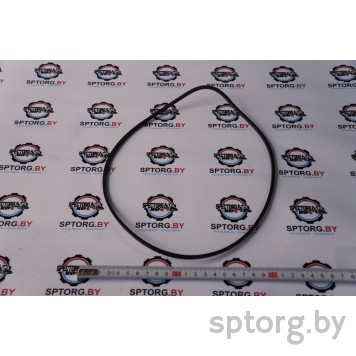 06914477 Уплотнительное кольцо CASE-0