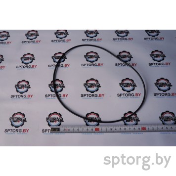 85819719 Уплотнительное кольцо CASE-0