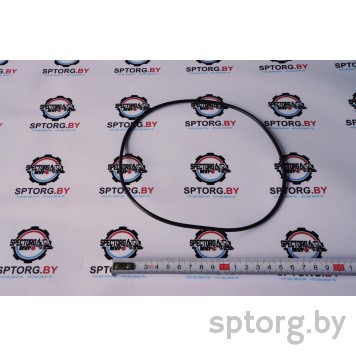 85819720 Уплотнительное кольцо CASE-0