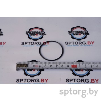 305152A1 Уплотнительное кольцо NEW HOLLAND-0