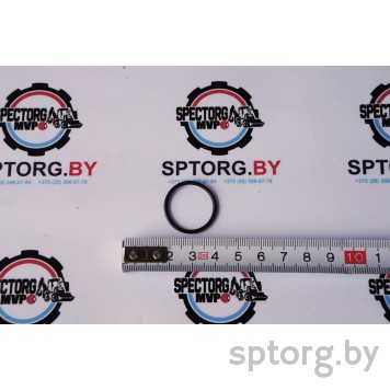 81875430 Уплотнительное кольцо NEW HOLLAND-0