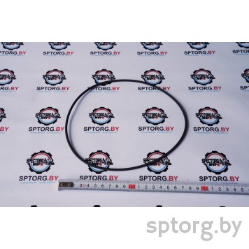 308036A1 Уплотнительное кольцо NEW HOLLAND-0