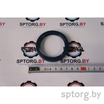 181122A1 Сальник CASE-0