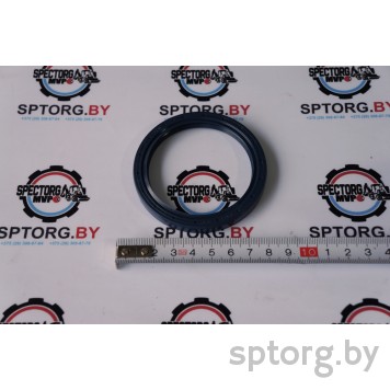 181123A1 Сальник CASE-0