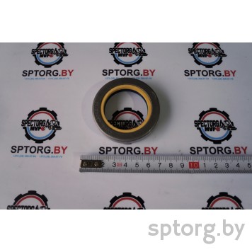 1966164C1 Сальник CASE-0