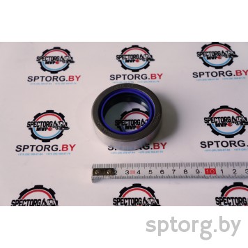 81870323 Сальник CASE-0