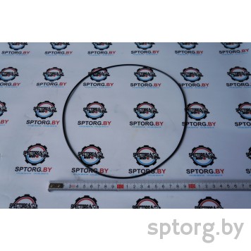 001.05.1178 Уплотнительное кольцо DANA Spicer-0