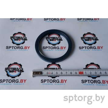 4203860 Сальник DANA Spicer-0