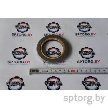 729.06.001.01 Сальник DANA Spicer-0