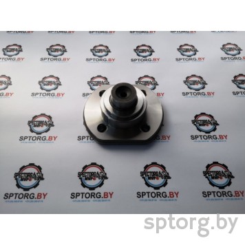 212.06.700.13 Шкворень Dana Spicer-0