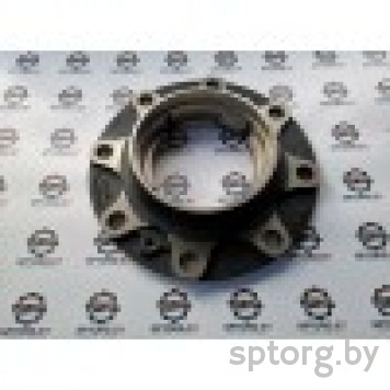 5H.1120604901 Ступица DIECI-0