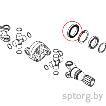 F930.301.020.100 Сальник FENDT-0